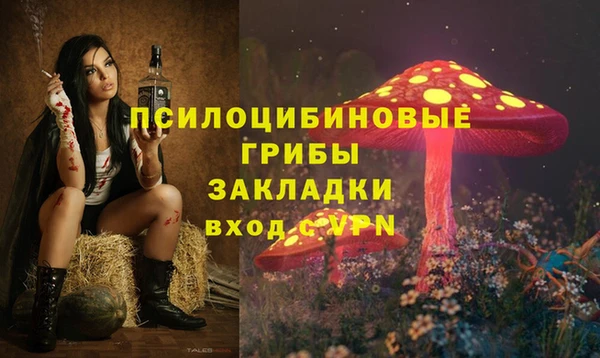 стафф Алексин