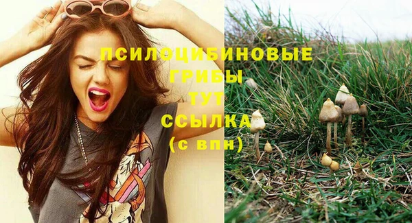 стафф Алексин
