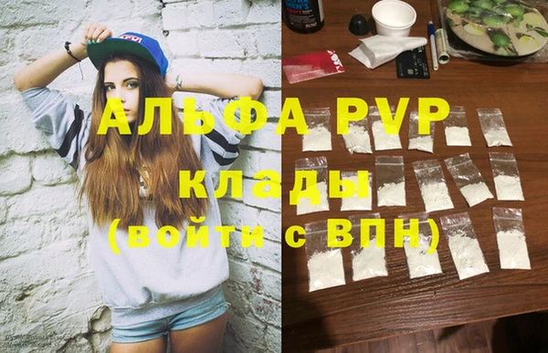 стафф Алексин