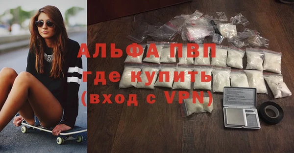стафф Алексин