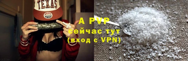 стафф Алексин