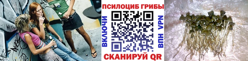 Галлюциногенные грибы прущие грибы  Ливны 