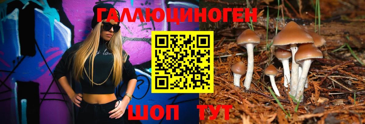 где купить наркоту  Вход с VPN  Ливны  Псилоцибиновые грибы ЛСД 