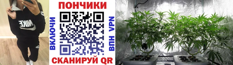 Конопля White Widow  Ливны 